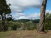 Lot 140 Vasse Highway, Nannup, WA 6275-Image