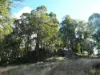 Lot 140 Vasse Highway, Nannup, WA 6275-Image
