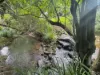 Lot 146 Nolans Road, Mummulgum NSW 2469-Image