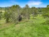 Lot 146 Nolans Road, Mummulgum NSW 2469-Image