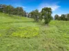 Lot 146 Nolans Road, Mummulgum NSW 2469-Image