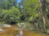 Lot 146 Nolans Road, Mummulgum NSW 2469-Image