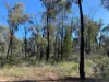Lot 16/2111 Carlisle Road, Fifield NSW 2875-Image