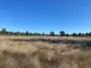 Lot 16/2111 Carlisle Road, Fifield NSW 2875-Image