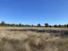 Lot 16, 2111 Carlisle Road, Fifield, NSW 2875-Image