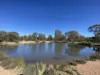 Lot 16, 2111 Carlisle Road, Fifield, NSW 2875-Image