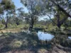 Lot 16, 2111 Carlisle Road, Fifield, NSW 2875-Image