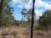 Lot 16 Tableland Road, Mount Maria, Qld 4674