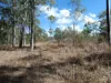 Lot 16 Tableland Road, Mount Maria, Qld 4674-Image