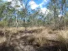 Lot 16 Tableland Road, Mount Maria, Qld 4674-Image