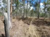 Lot 16 Tableland Road, Mount Maria, Qld 4674-Image