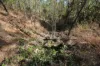 Lot 16 Tableland Road, Mount Maria, Qld 4674-Image