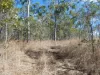 Lot 16 Tableland Road, Mount Maria, Qld 4674-Image