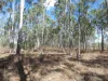 Lot 16 Tableland Road, Mount Maria, Qld 4674-Image