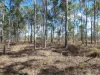 Lot 16 Tableland Road, Mount Maria, Qld 4674-Image