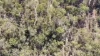 Lot 16 Tableland Road, Mount Maria, Qld 4674-Image