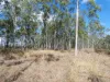 Lot 16 Tableland Road, Mount Maria, Qld 4674-Image