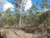 Lot 16 Tableland Road, Mount Maria, Qld 4674-Image