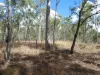 Lot 16 Tableland Road, Mount Maria, Qld 4674-Image