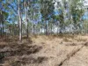 Lot 16 Tableland Road, Mount Maria, Qld 4674-Image