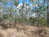 Lot 16 Tableland Road, Mount Maria, Qld 4674-Image