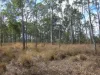 Lot 16 Tableland Road, Mount Maria, Qld 4674-Image
