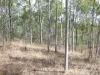 Lot 16 Tableland Road, Mount Maria, Qld 4674-Image