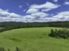 Lot 164 Paddys Flat Road, Tabulam, NSW 2469-Image