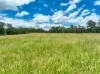Lot 164 Paddys Flat Road, Tabulam, NSW 2469-Image