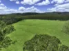Lot 164 Paddys Flat Road, Tabulam, NSW 2469-Image