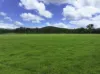 Lot 164 Paddys Flat Road, Tabulam, NSW 2469-Image