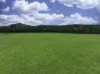 Lot 164 Paddys Flat Road, Tabulam, NSW 2469-Image