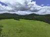 Lot 164 Paddys Flat Road, Tabulam, NSW 2469-Image