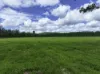 Lot 164 Paddys Flat Road, Tabulam, NSW 2469-Image