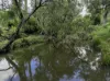 Lot 164 Paddys Flat Road, Tabulam, NSW 2469-Image