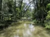 Lot 164 Paddys Flat Road, Tabulam, NSW 2469-Image