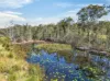 Lot 169 Oakview Drive, Hallidays Point, NSW 2430-Image