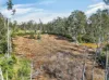 Lot 169 Oakview Drive, Hallidays Point, NSW 2430-Image