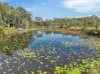 Lot 169 Oakview Drive, Hallidays Point, NSW 2430-Image