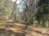 Lot 189 Old Esk Road, Taromeo, Qld 4314-Image