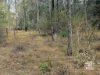 Lot 189 Old Esk Road, Taromeo, Qld 4314-Image