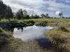 Lot 1982 Ludlow-Hithergreen Road, Ludlow, WA 6280-Image