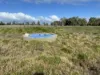 Lot 1982 Ludlow-Hithergreen Road, Ludlow, WA 6280-Image