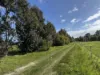 Lot 1982 Ludlow-Hithergreen Road, Ludlow, WA 6280-Image
