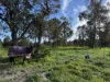 Lot 1982 Ludlow-Hithergreen Road, Ludlow, WA 6280-Image