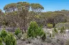 Lot 2 Ferries McDonald Road, Monarto South, SA 5254-Image