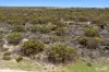 Lot 2 Ferries McDonald Road, Monarto South, SA 5254-Image