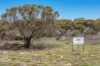 Lot 2 Ferries McDonald Road, Monarto South, SA 5254-Image