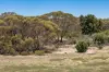 Lot 2 Ferries McDonald Road, Monarto South, SA 5254-Image