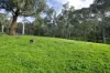 Lot 2, Georges Creek VIC 3700-Image